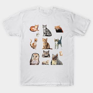 Fallout cats collection T-Shirt